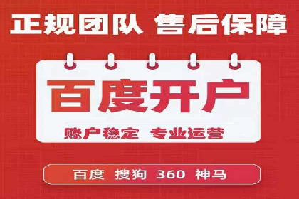 案例研究：SEM开户助力电商快速崛起